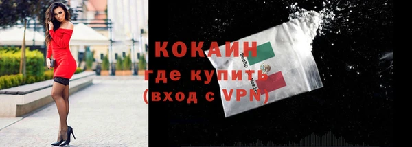 прущие грибы Лихославль