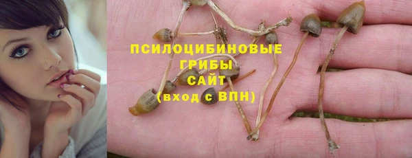 прущие грибы Лихославль