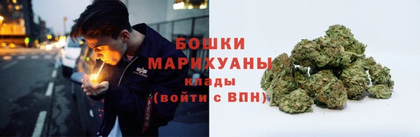 прущие грибы Лихославль