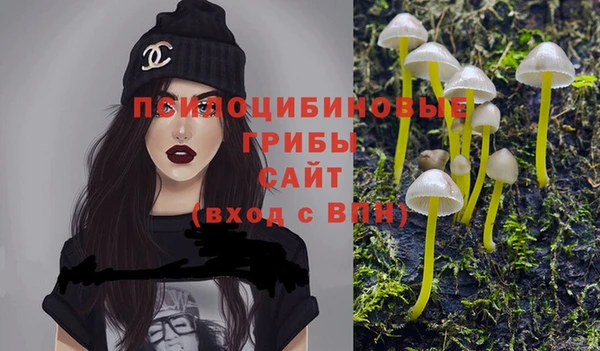прущие грибы Лихославль