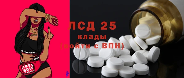 прущие грибы Лихославль
