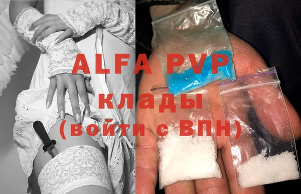 прущие грибы Лихославль