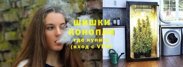 прущие грибы Лихославль