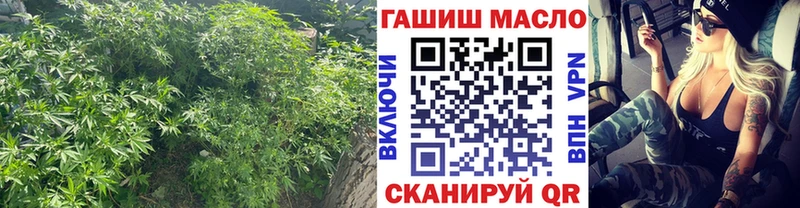 Купить где  Кузнецк  Дистиллят ТГК Wax 